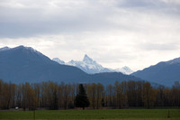IMG_5723.jpg