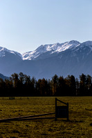 IMG_7615.jpg